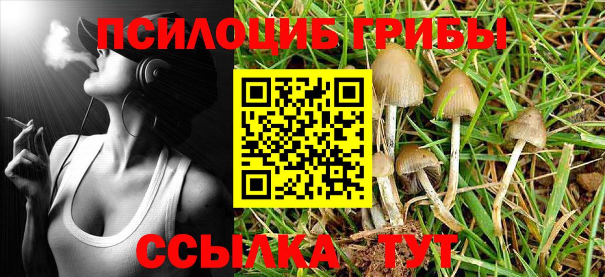Псилоцибиновые грибы Magic Shrooms Майский